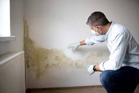 Best Mold-Related Health Consultation  in Glenwood, GA